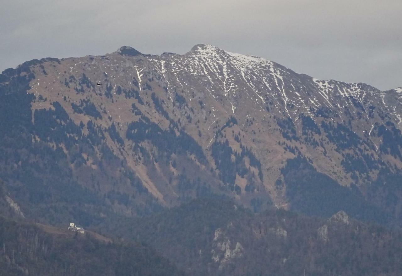 Apartment Tjasa Radovljica Eksteriør billede