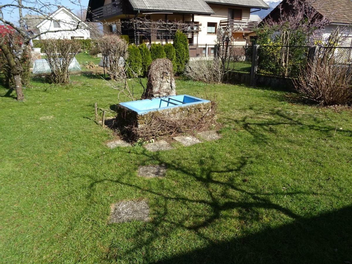 Apartment Tjasa Radovljica Eksteriør billede